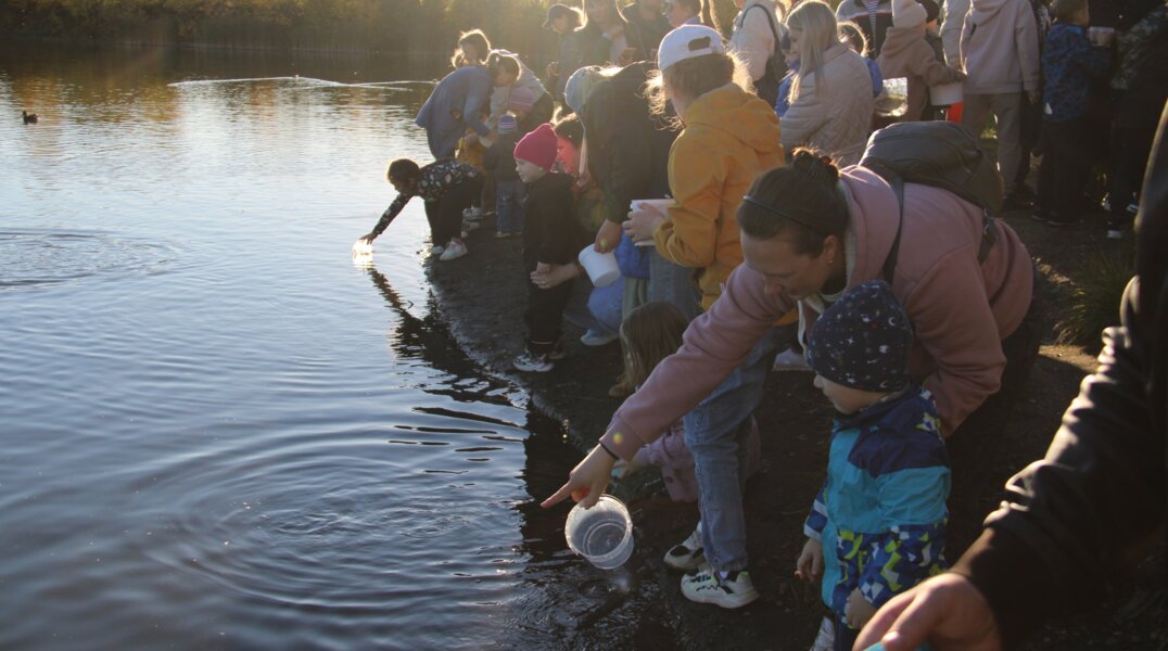 Журналист из Лысьвы организовала акцию по зарыблению местного пруда. Фото