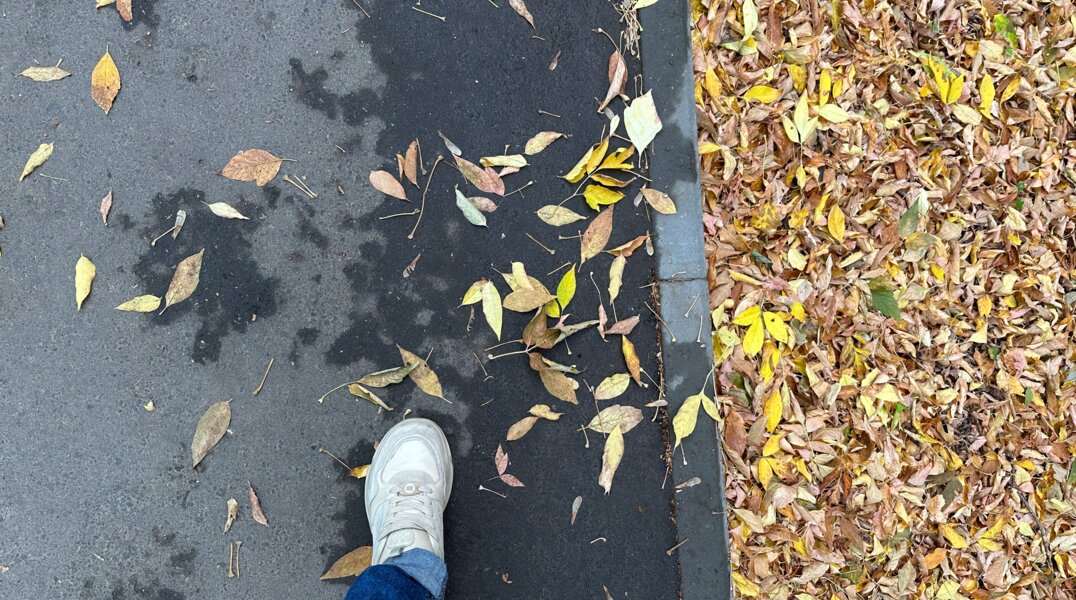 В Пермь на пару дней придет сухая погода