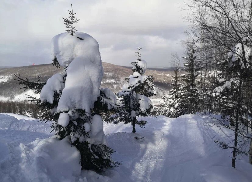 Новая неделя в Перми пройдет без осадков