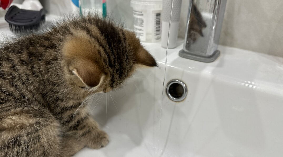 Часть Орджоникидзевского района Перми осталась без теплоснабжения