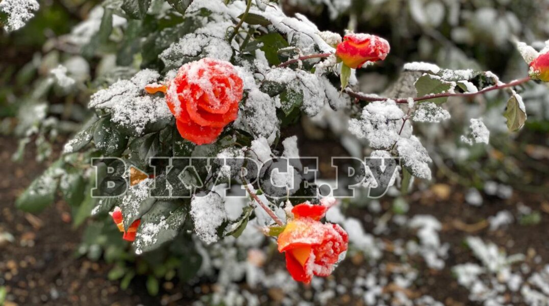 В Пермском крае 29 октября ожидается мокрый снег и резкие порывы ветра