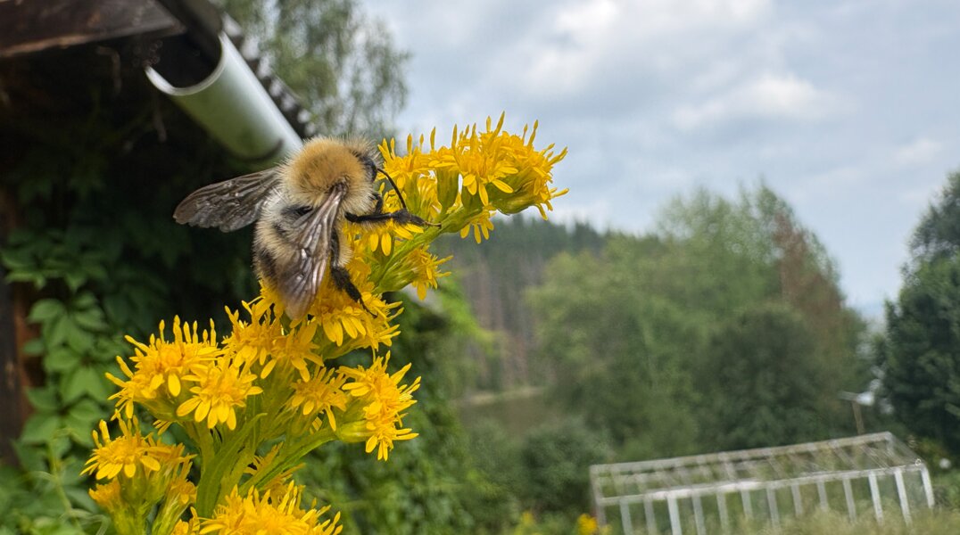 Пермский край ожидает неделя стабильно теплой погоды