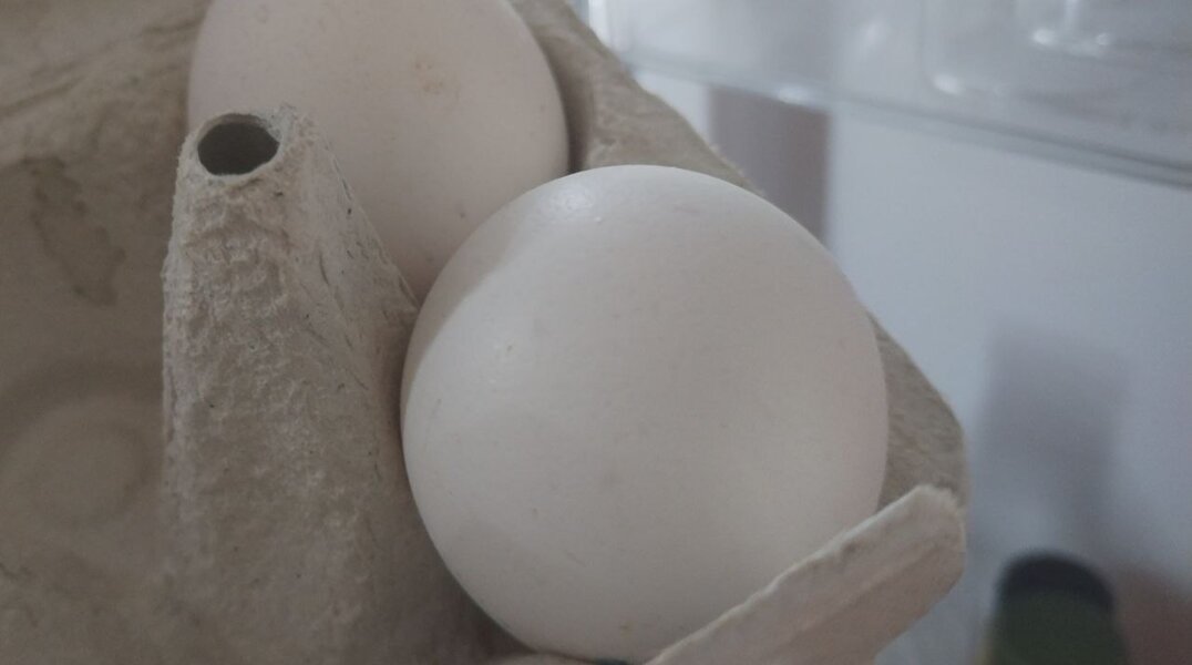 Минагро: Пермский край обеспечен куриным яйцом на 200%