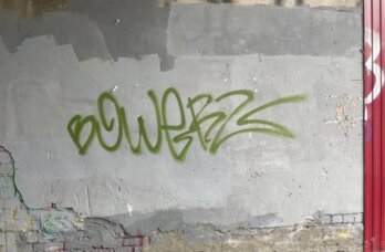 Пермяка заставили платить за огромное нецензурное граффити на арендованном гараже