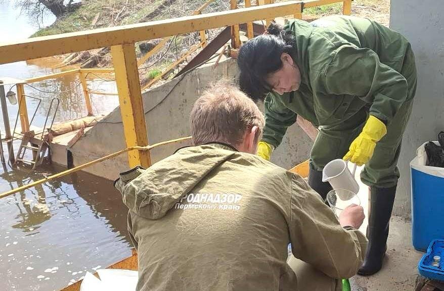 Прикамская компания добровольно погасила экологический ущерб почти на 20 млн рублей