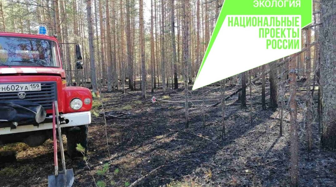 Власти Пермского края начали активную подготовку к пожароопасному сезону