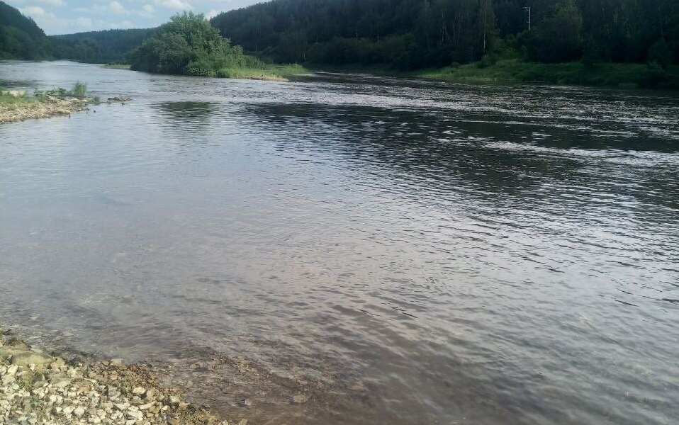 В реке Пермского края ищут тело мальчика, который ушел из лагеря искупаться