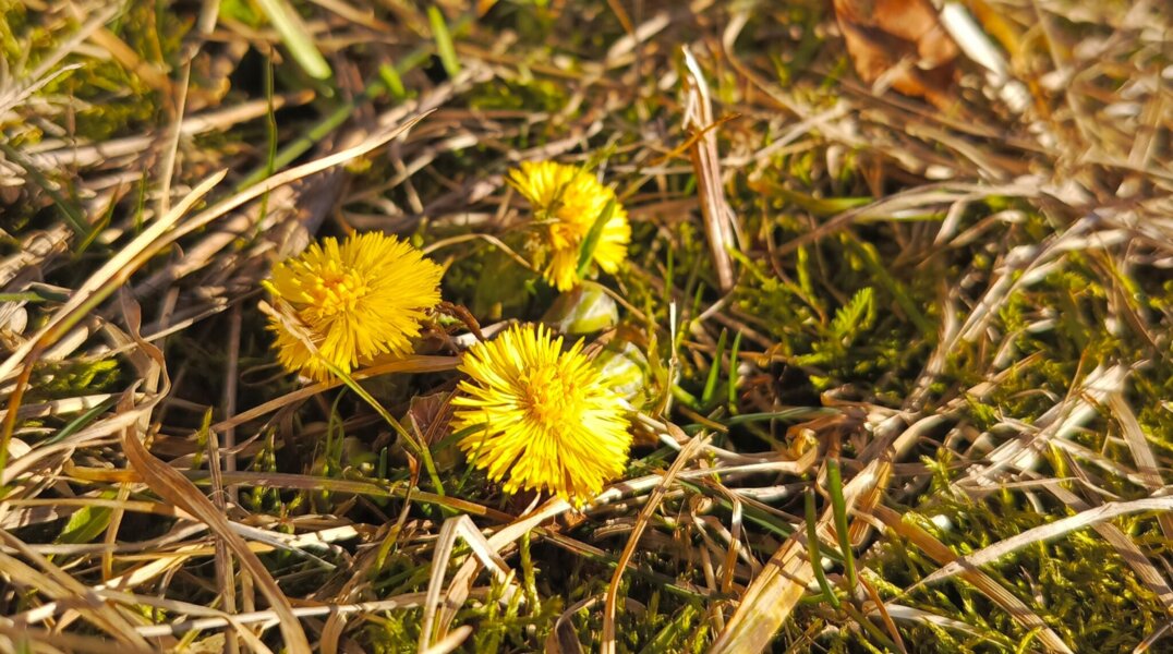 В Перми установилась самая теплая погода с начала марта 