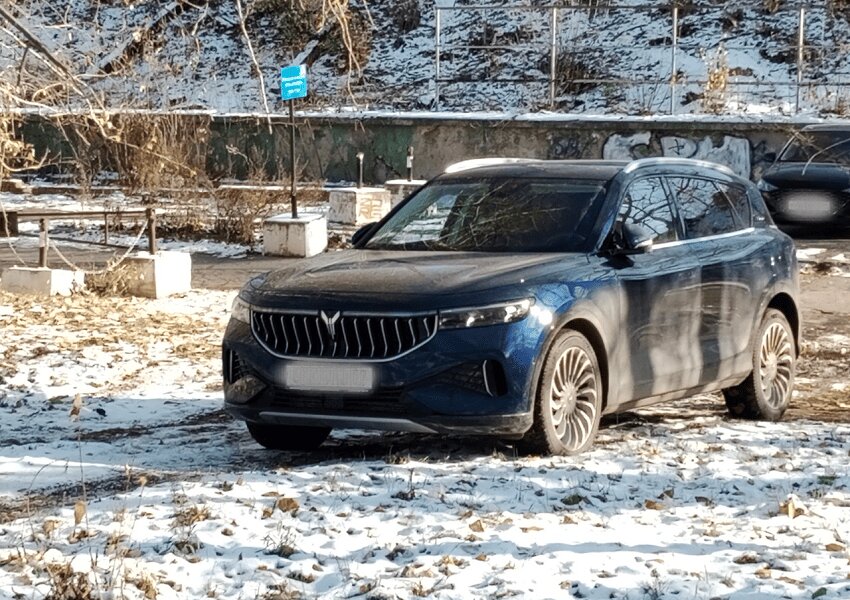 В Прикамье мужчина спрятал в черноземе свою машину от судебных приставов