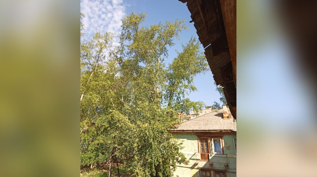 В Перми неравнодушные жители четыре дня спасали кошку