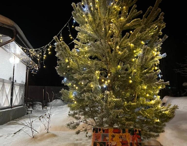 Жителей Прикамья ожидает прохладное и снежное Рождество