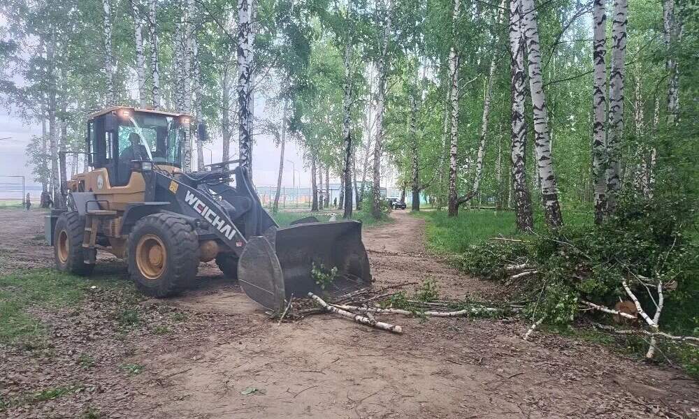 В Чайковском психологи работают с мамой погибшей и очевидцами трагедии с упавшим деревом