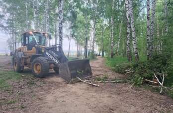 В Чайковском психологи работают с мамой погибшей и очевидцами трагедии с упавшим деревом
