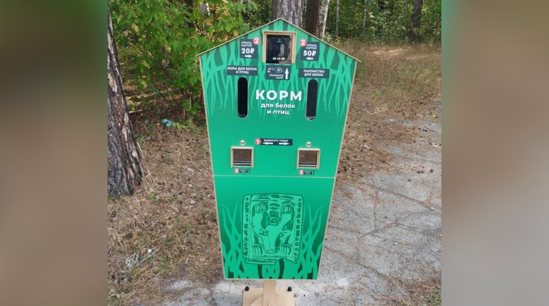 В пермском парке «Счастье есть» появились аппараты по продаже корма для белок и пернатых
