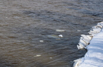 В Прикамье затопило более 20 приусадебных участков