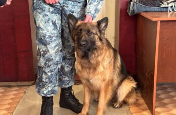 ​В Добрянке эвакуировали школу из-за угрозы минирования