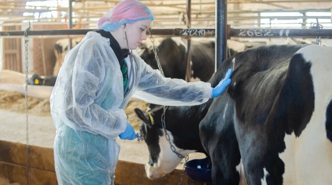 В Перми определят сильнейших профессионалов студенческих отрядов Приволжского федерального округа