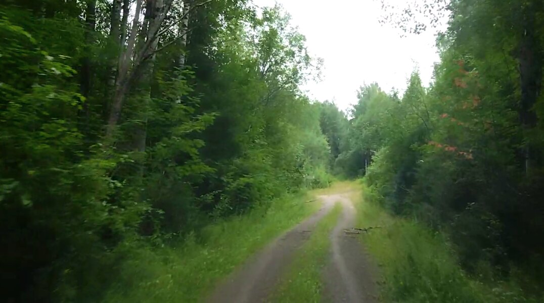 В Кудымкарском округе нашли потерявшихся в лесу бабушку и внучку