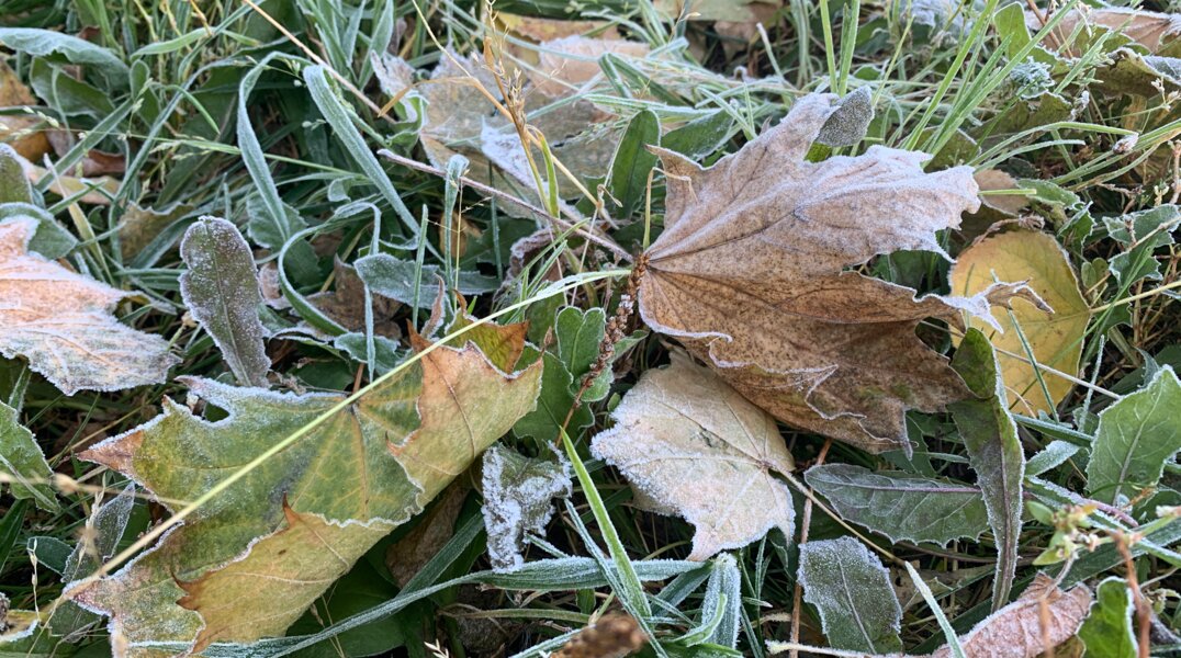 В Перми установился самый сильный холод за 122 года