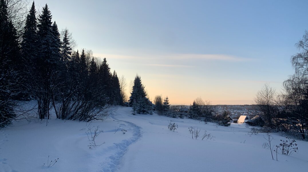В понедельник в Пермском крае ожидается сильный порывистый ветер