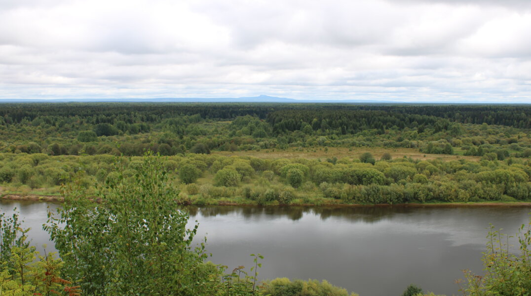Пермские ученые обнаружили значительное снижение популяции ценного вида рыб в северных реках
