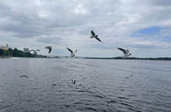 В Каме погибла повар теплохода