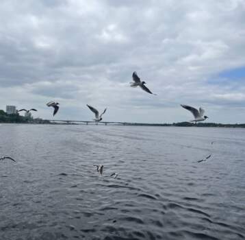 В Каме погибла работница кухни теплохода