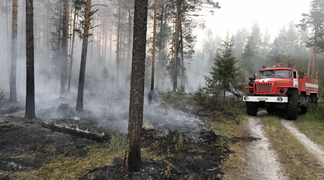 В Пермском крае теперь могут прогнозировать лесные пожары