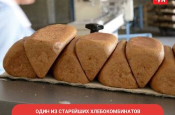 На одном из старейших хлебозаводов Прикамья начали проводить экскурсии