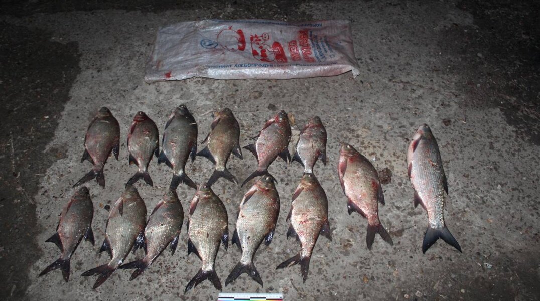 Полиция задержала пермяка, который незаконно ловил лещей