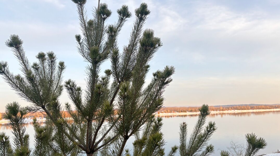 В Прикамье побит седьмой подряд температурный рекорд 