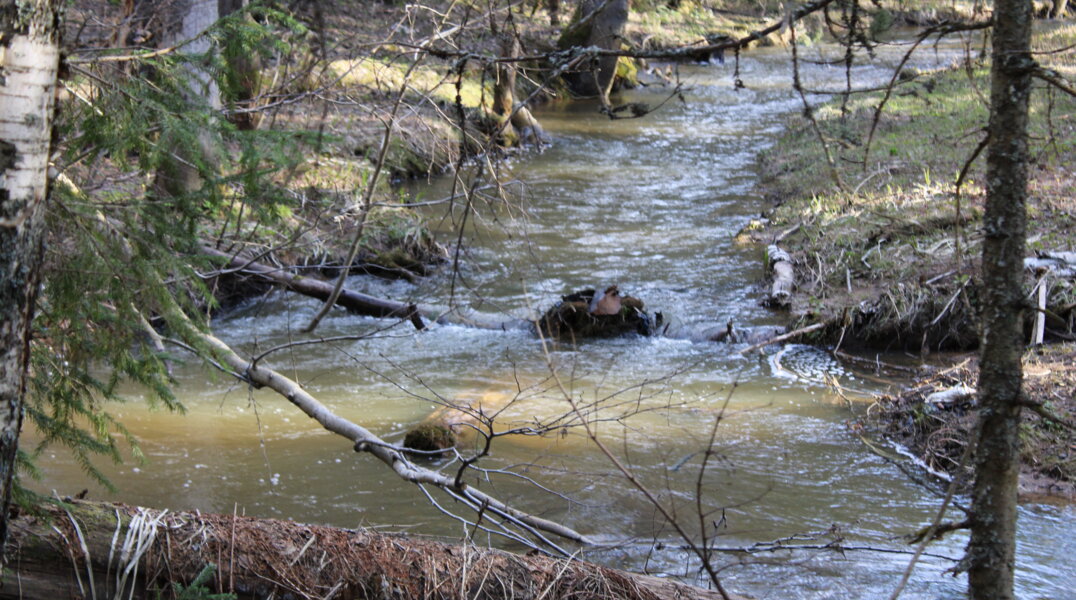 Эксперты назвали период значительного роста воды в малых и крупных реках Прикамья