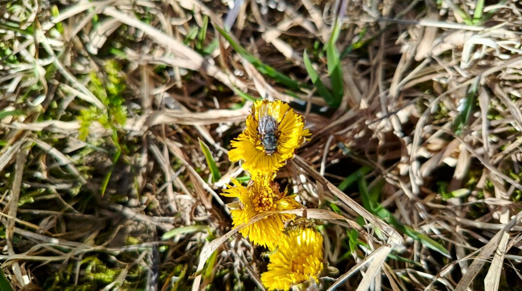 В Перми установлен десятый за март суточный температурный рекорд