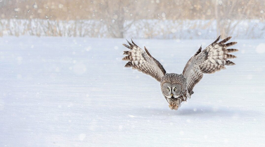 Кадр автора из Прикамья войдет в календарь Большой уральской тропы