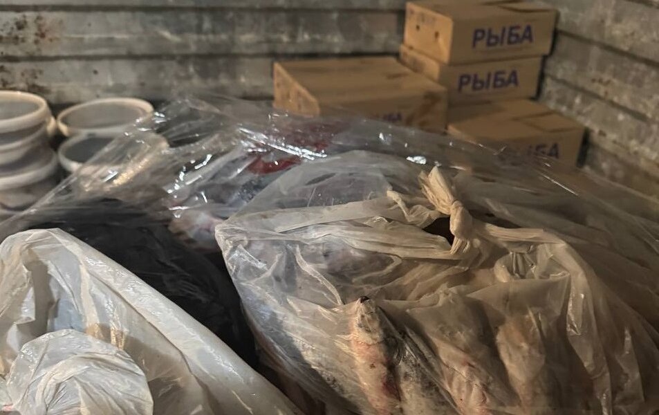 Ржавчина и плесень. В пермском цехе по переработке рыбы нашли множественные нарушения