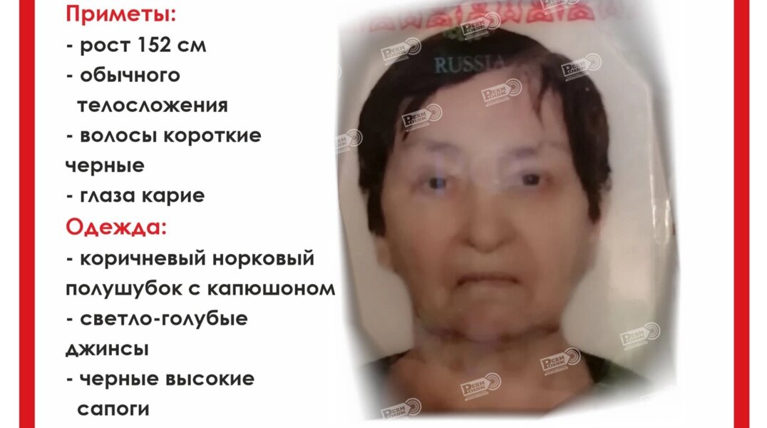 В Перми ищут пенсионерку, пропавшую 10 февраля