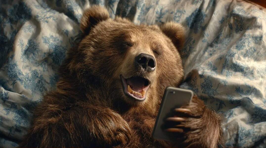 медведь смотрит мемы 
