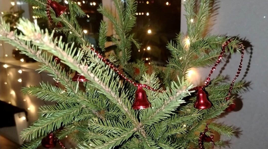 Дешево и сердито. Топ-5 бюджетных развлечений в Перми на новогодние праздники