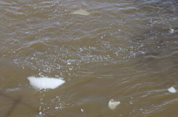 Следственный комитет проверит загрязнение водоема в деревне Хмели