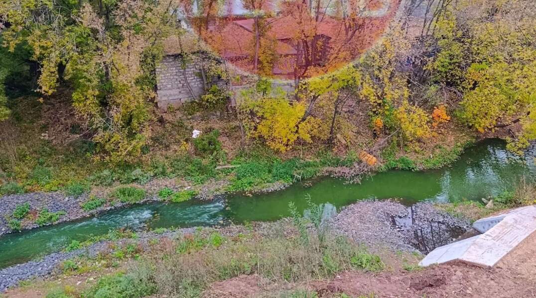 Данилиха, река, зеленая река