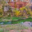 Данилиха, река, зеленая река