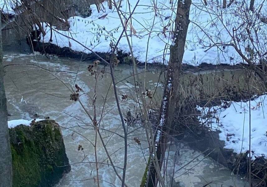 В Перми началась проверка из-за возможного загрязнения реки Ива