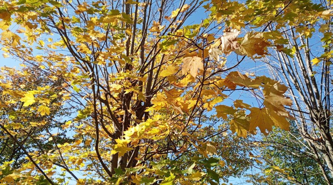 Пермский край накроет тропическая воздушная масса