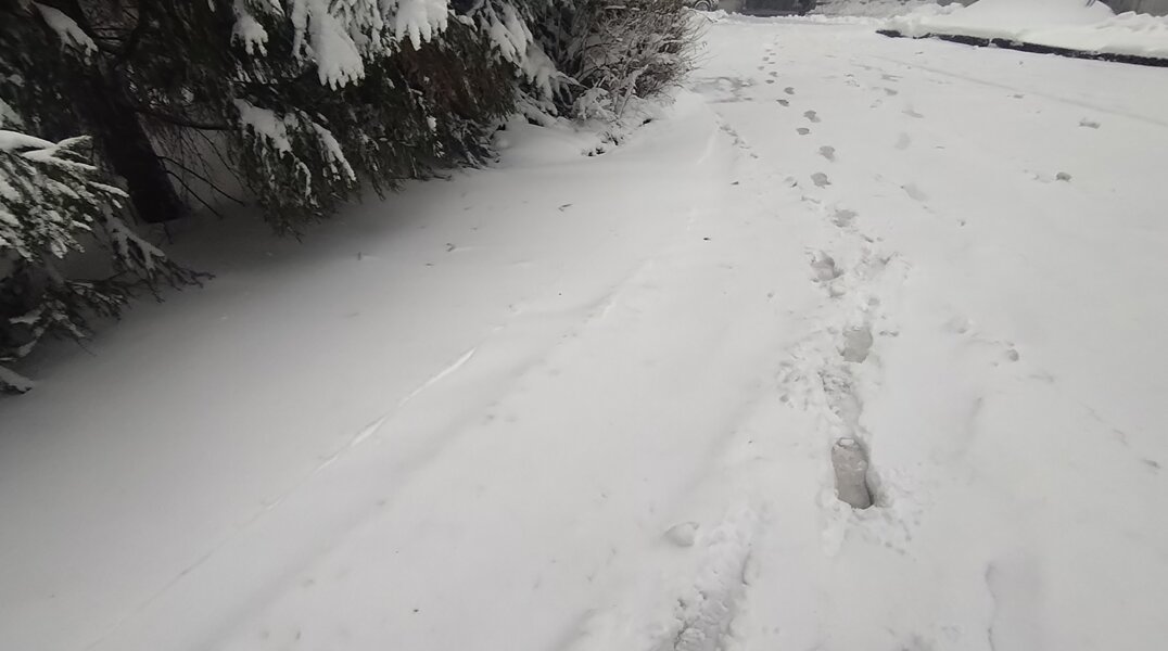 В Прикамье ожидаются сильные снегопады и продолжительная оттепель