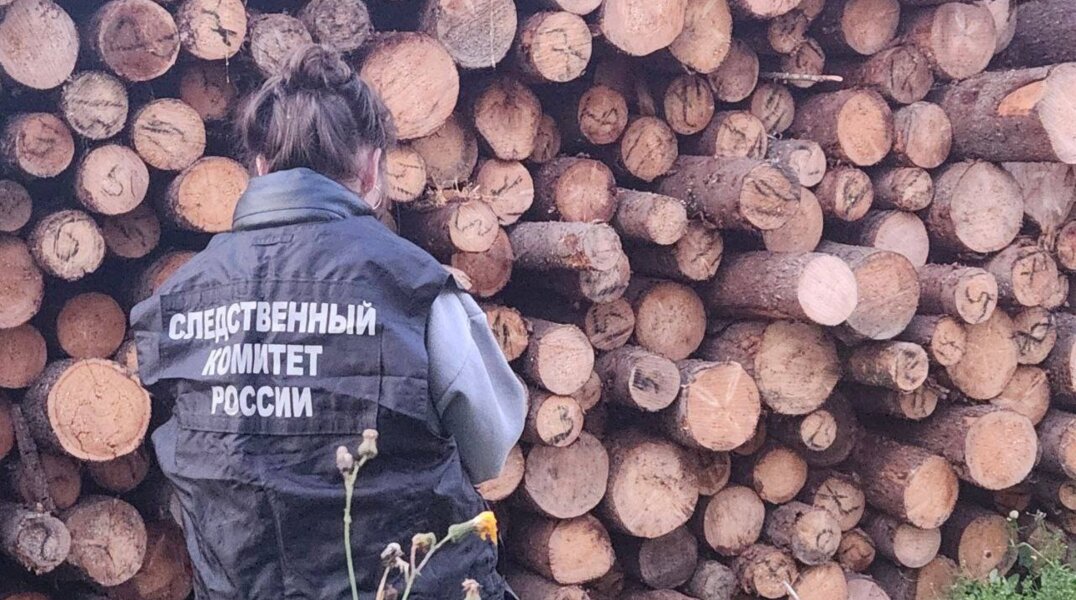 В Чусовом возбуждено уголовное дело после гибели двух детей под бревнами