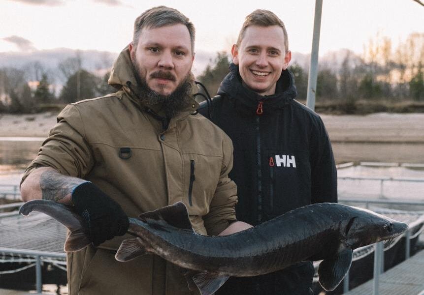 рыба