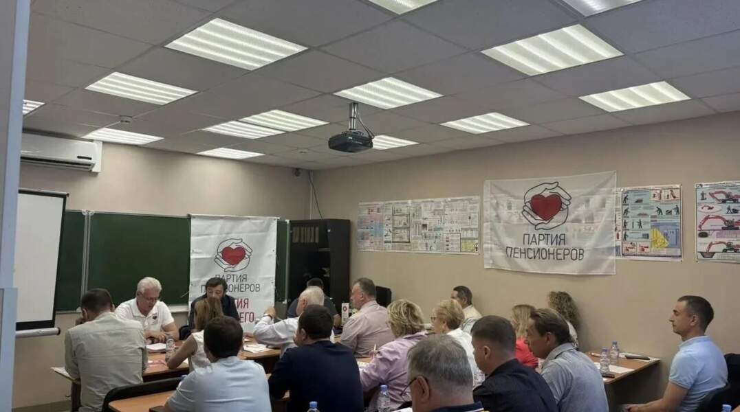 партия пенсионеров 