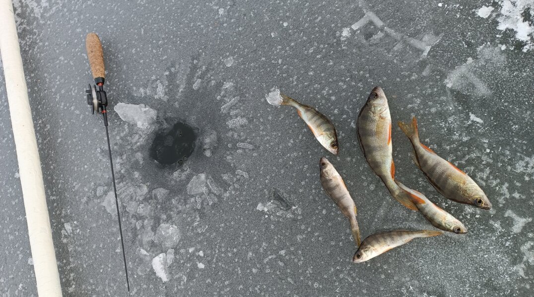 В Пермском крае рыбаки-экстремалы проверяют лед на прочность