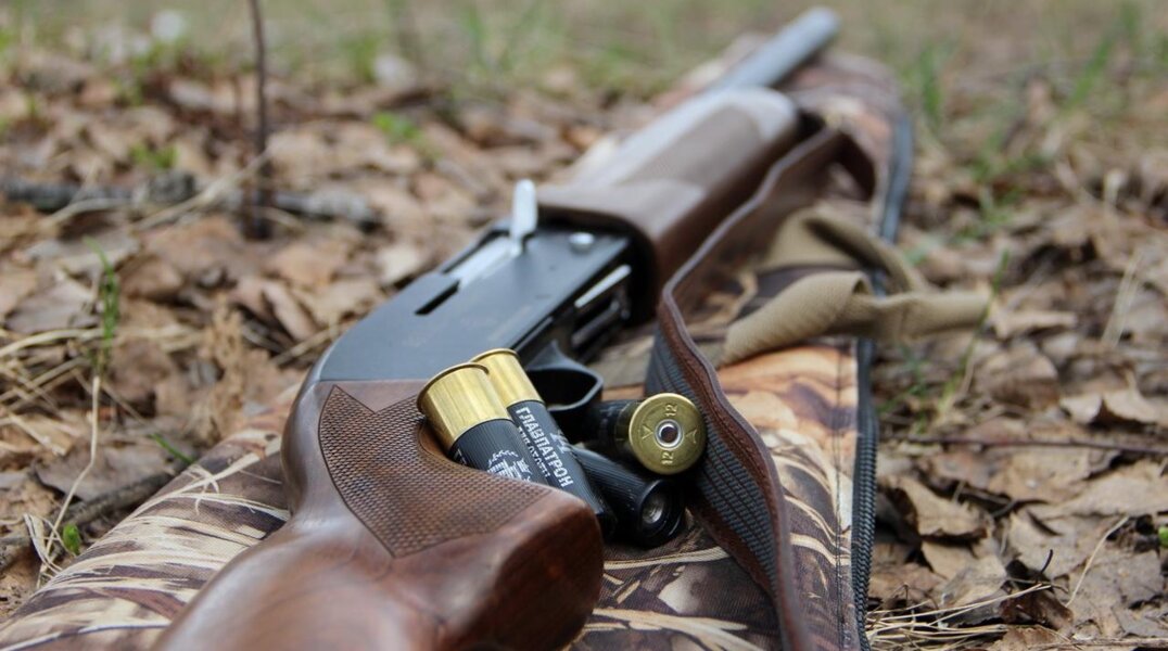 Пермским охотникам выплатили почти три миллиона рублей за отстрел волков