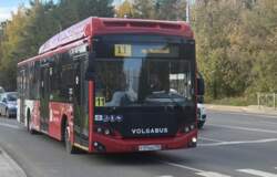 автобус 11